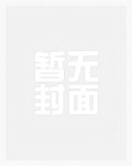 树荫下的风